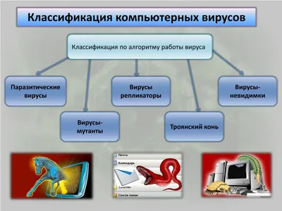 Компьютерный вирус: что это такое, виды и как с ними бороться