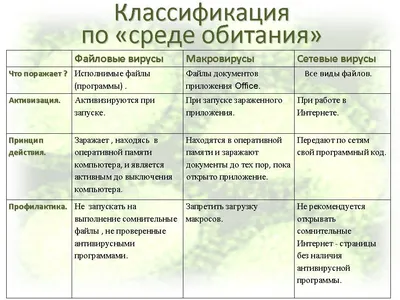 PPT - Компьютерные вирусы антивирусы PowerPoint Presentation - ID:5562205