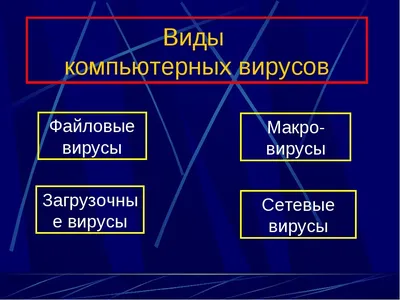 Сетевые вирусы - основные виды компьютерных вирусов и борьба с ними