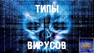 Компьютерный вирус — Википедия