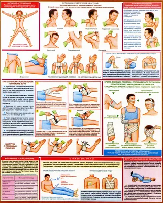 Кровотечение. Виды кровотечений. Методы остановки кровотечений -  Рекомендации по оказанию первой неотложной медицинской помощи - Статьи -  Юртэкс: поставка наборов инструментов по Москве