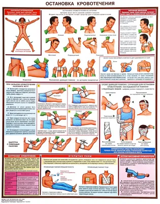 Кровотечения | Брискин Б.С., Вовк Е.И. | «РМЖ» №20 от 