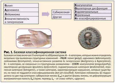 ПОМОЩЬ ПРИ КРОВОТЕЧЕНИЯХ – тема научной статьи по ветеринарным наукам  читайте бесплатно текст научно-исследовательской работы в электронной  библиотеке КиберЛенинка