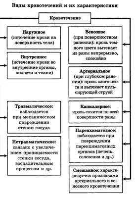 . Виды кровотечений. Первая помощь при кровотечениях. | Анатомия к ЕГЭ  | Георгий Мишуровский - YouTube