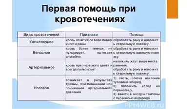 Презентация к теоретическому занятию по разделу "Сестринская помощь при  хирургических заболеваниях" на тему: Виды кровотечений. Виды остановки  кровотечений для студентов 3 курса медицинских колледжей.