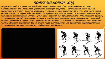 PPT - ЛЫЖНЫЕ ХОДЫ PowerPoint Presentation, free download - ID:4235338