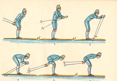 Третий этап – освоение лыжного хода в целом