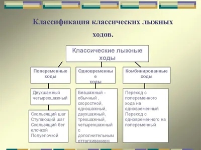 Презентация на тему: "Техника классических лыжных ходов"