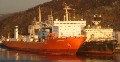 Общая классификация современных морских грузовых судов по назначению