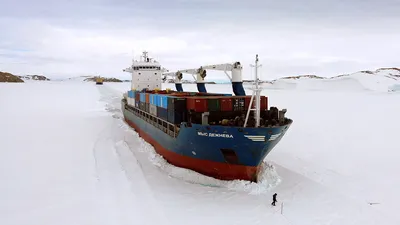 Типы морских судов, какие бывают грузовые корабли