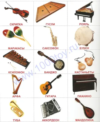 Наиболее популярные типы струнных инструментов |  | Дзен