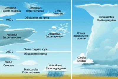 Различные Типы Облаков С Именами — стоковая векторная графика и другие  изображения на тему Кучево-дождевое облако - Кучево-дождевое облако,  Слоистое облако, Перистое облако - iStock