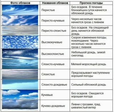 GISMETEO: 5 самых странных видов облаков: фото - Климат | Новости погоды.