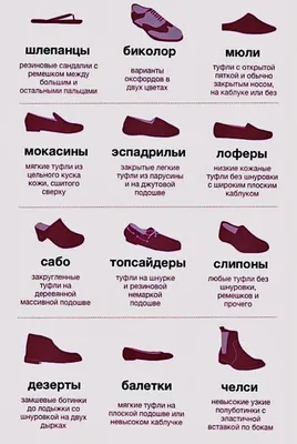Виды женской обуви | Olegasphoto