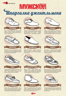 Виды и названия мужской обуви - инфографика N-SHOES