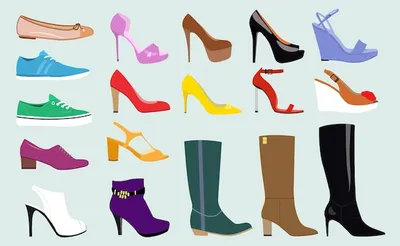 Виды женской обуви: список, название, фото и описание | обзор магазина  