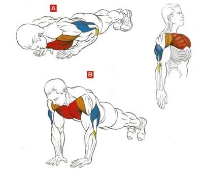 12 способов отжиманий от пола