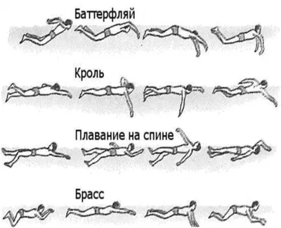 Стили плавания (инструктор по плаванию Перфилова Н.Г.)