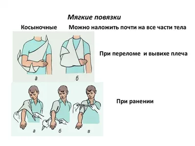 Дигестол повязка биологическая 50х50 мм - цена 295 руб., купить в интернет  аптеке в Москве Дигестол повязка биологическая 50х50 мм, инструкция по  применению