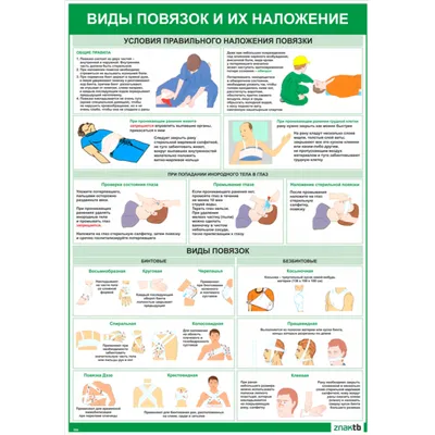 Плакат Виды повязок и их наложения