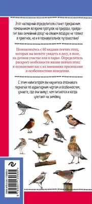 В Беларуси назвали птицу 2022 года. Что еще известно о птице года? –   инфопортал Каменецкого района