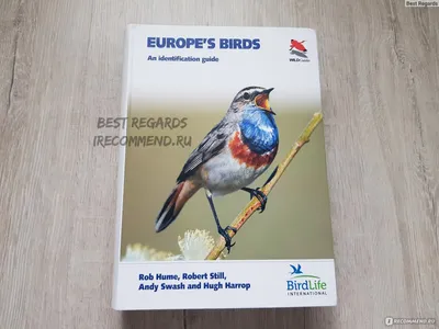 Europe's birds: An Identification guide. Rob Hume, Robert Still, Andy  Swash, Hugh Harrop - «Возможно, лучший фотоопределитель по птицам Европы.  Попал ко мне случайно и стал одним из основных для определения» | отзывы