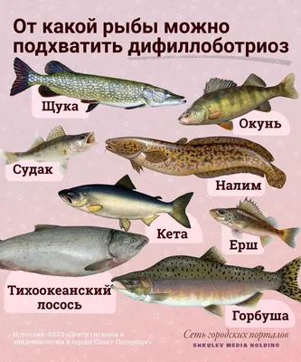 На что клюет речная рыба: Секреты успешной рыбалки | Fishmania 2023