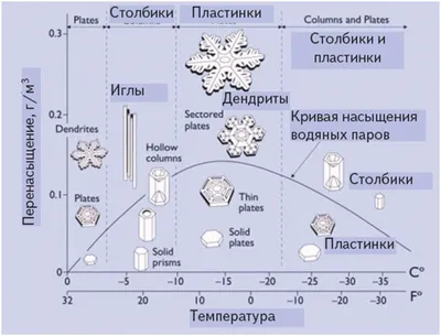 Иллюстрация 16 из 32 для Снежинки. Тайная красота зимней природы.  Занимательное снежинковедение - Кеннет Либбрехт | Лабиринт - книги.  Источник: Лабиринт