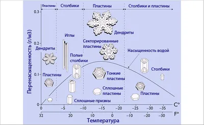 Как вырезать новогодние снежинки? Инфографика | Подарки | Новый год |  Аргументы и Факты