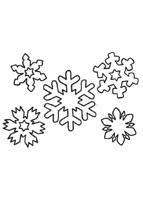 Premium Vector | Different kinds of snowflakes