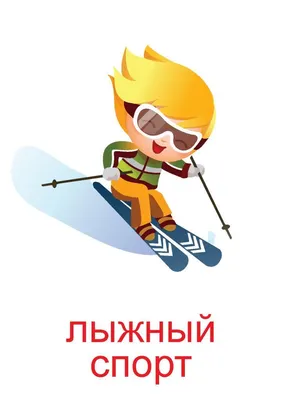 Спортивная викторина Зимние виды спорта – МБДОУ «Детский сад № 221»