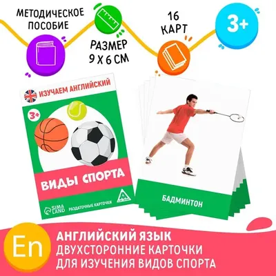 Паспорт дидактической игры «Виды спорта с мячом» (5 фото). Воспитателям  детских садов, школьным учителям и педагогам - Маам.ру