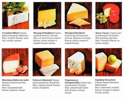 Лучшие сочетания разных видов сыров с другими продуктами называли эксперты  |  - Новости Рузы и Подмосковья