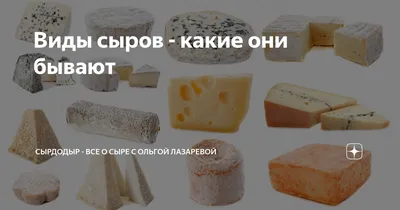 Виды сыров - какие они бывают | 🧀 Ольга Лазарева - все о сыроделии 🧀 |  Дзен