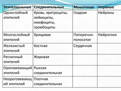 Выбираем подкладочную ткань: виды, состав и плотность | Текстилия | Дзен