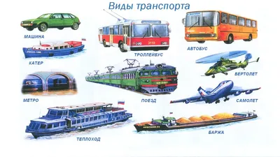 Картинки транспорт | Детское развитие | Transportation preschool,  Transportation activities, Transportation theme preschool