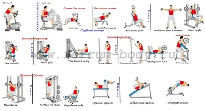 Тренажеры в спортзале