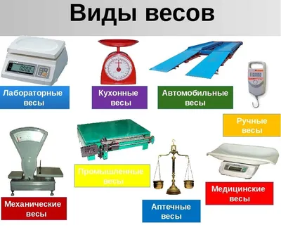 Какие виды торговых весов используют в магазинах?