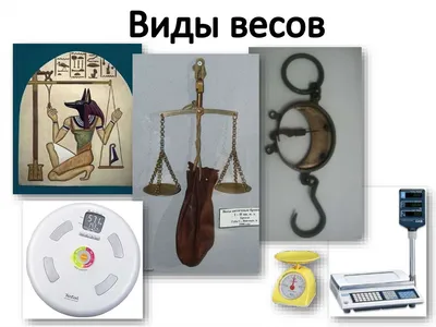 Виды весов - презентация онлайн