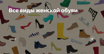 Obuv Service - 👠 12 видов каблуков женской обуви: 1️⃣ Венский. Самый  маленький и безопасный каблук. Максимальная высота – 2 см. Чаще всего  именно такой каблук встречается на балетках. Он идеально подходит