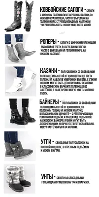 Виды женской обуви названия с инфографикой N-SHOES