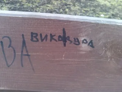 Вика дура