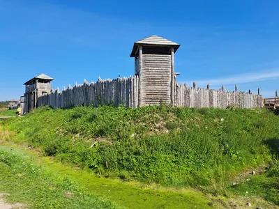 Рисунки викингов для срисовки - 85 фото