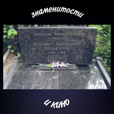 Физик, лирик, алкоголик. Судьба юных актеров «Добро пожаловать» Климова |  Персона | Культура | Аргументы и Факты