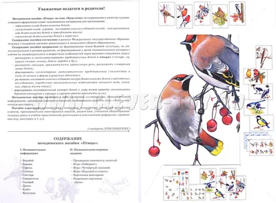 Методическое пособие "Птицы" (дидактический материал) СФ-НД-11 в  Москве|