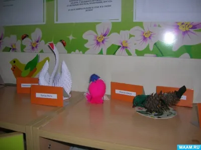 Необычные птицы для детей. Видео c викториной. Учим названия птиц в игровой  форме - YouTube