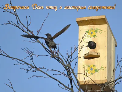 Игра-викторина «Зимующие птицы» |  | Белогорск - БезФормата