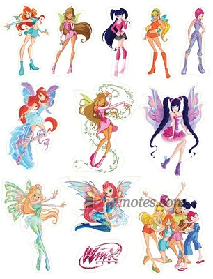 WINX Club. Школа волшебниц. Второй сезон. Выпуски 7-12 (6 DVD) - купить  мультфильм на DVD с доставкой. GoldDisk - Интернет-магазин Лицензионных DVD.