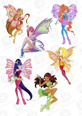 WINX Club. Школа волшебниц: Судьба Блум (DVD) - купить мультфильм /Winx  Club/ на DVD с доставкой. GoldDisk - Интернет-магазин Лицензионных DVD.