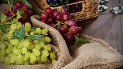 Виноград "Подарок Запорожью" купить 〛по выгодной цене в Киеве и Украине |  Фото | Отзывы